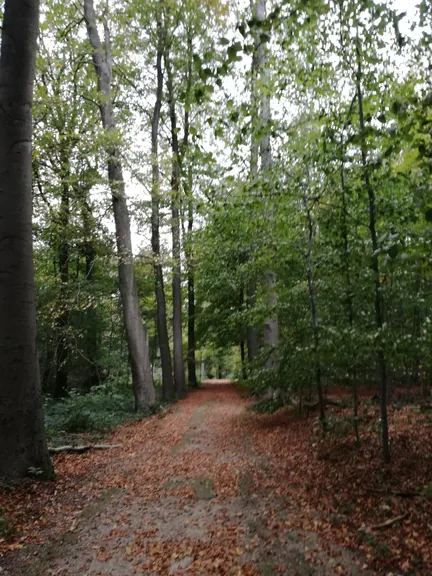 Gaasbeek + Kasteel van Gaasbeek (Lennik, België)